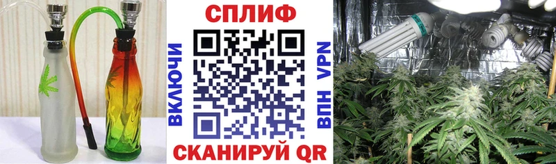 Канабис Amnesia  Дубовка 